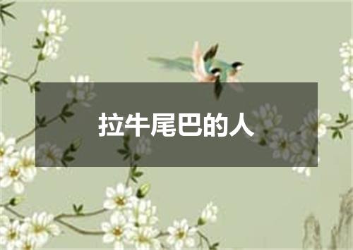 拉牛尾巴的人