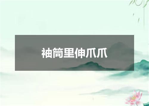 袖筒里伸爪爪