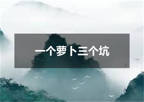 一个萝卜三个坑