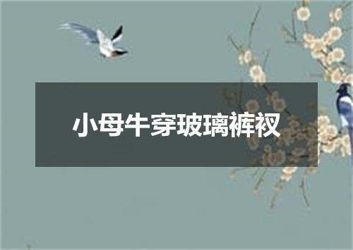 小母牛穿玻璃裤衩