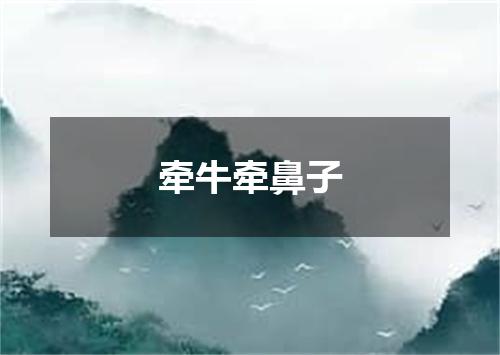 牵牛牵鼻子