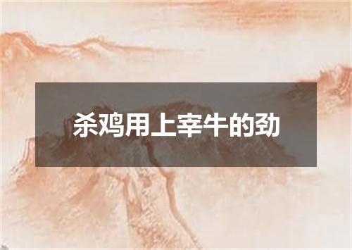 杀鸡用上宰牛的劲