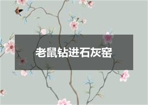 老鼠钻进石灰窑