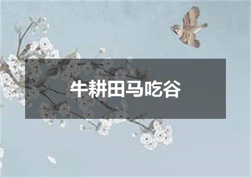 牛耕田马吃谷