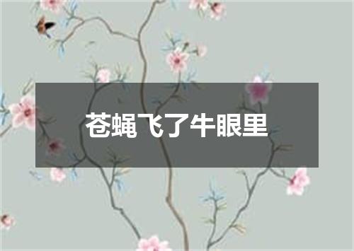 苍蝇飞了牛眼里