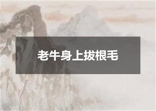 老牛身上拔根毛