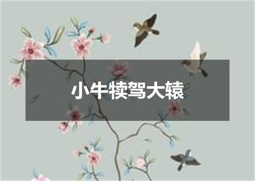 小牛犊驾大辕