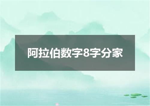 阿拉伯数字8字分家