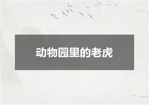 动物园里的老虎