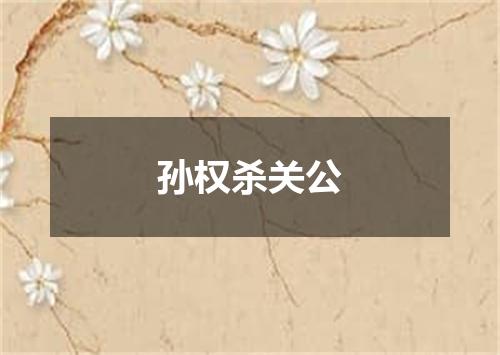 孙权杀关公