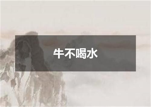 牛不喝水