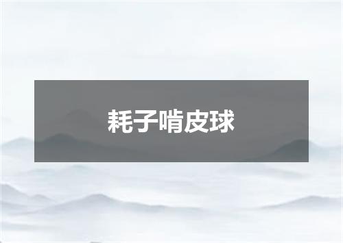 耗子啃皮球