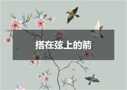 搭在弦上的箭