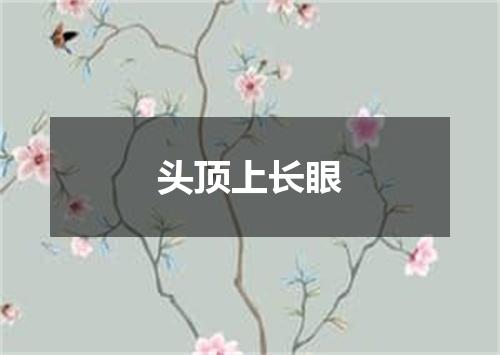 头顶上长眼