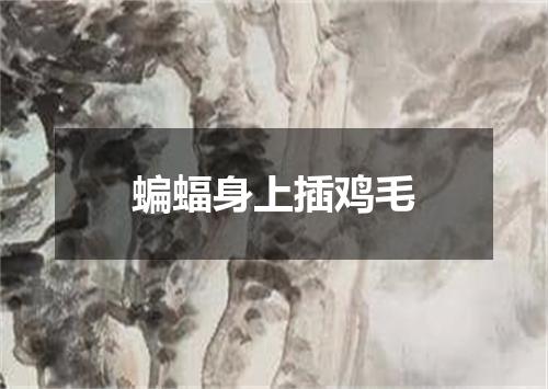 蝙蝠身上插鸡毛
