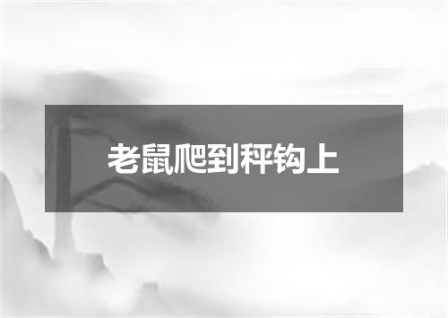 老鼠爬到秤钩上