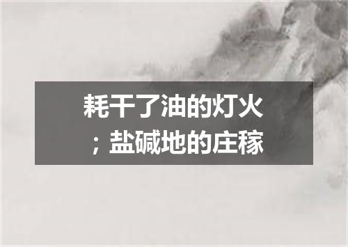 耗干了油的灯火；盐碱地的庄稼