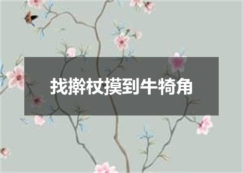 找擀杖摸到牛犄角