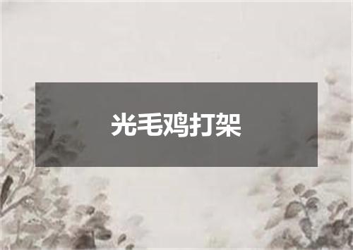光毛鸡打架