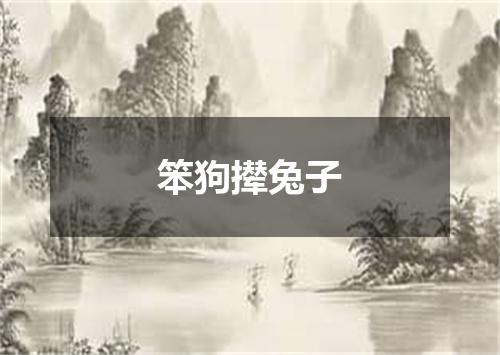 笨狗撵兔子