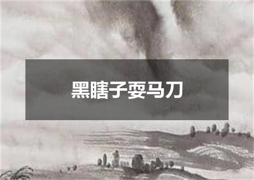 黑瞎子耍马刀