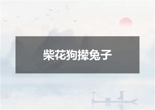 柴花狗撵兔子