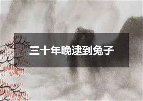 三十年晚逮到兔子