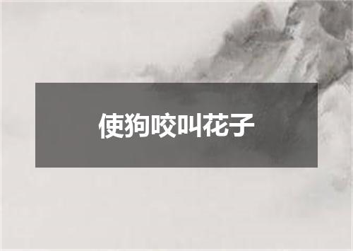 使狗咬叫花子