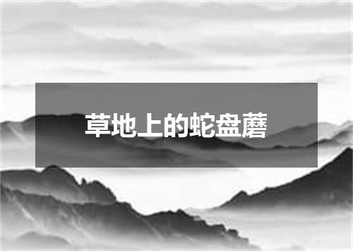 草地上的蛇盘蘑