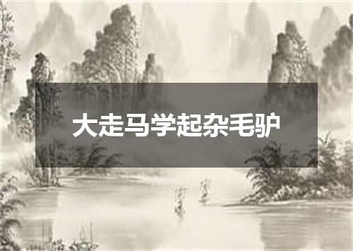大走马学起杂毛驴