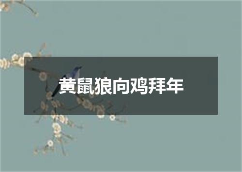 黄鼠狼向鸡拜年