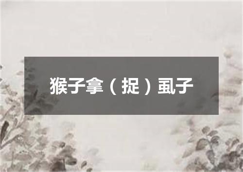 猴子拿（捉）虱子