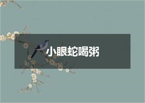 小眼蛇喝粥