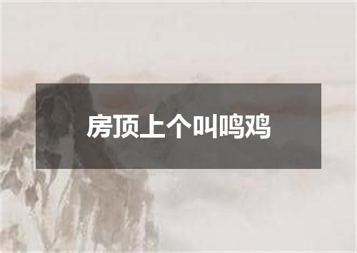 房顶上个叫鸣鸡