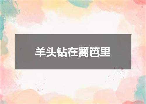 羊头钻在篱笆里