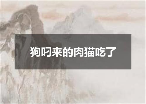 狗叼来的肉猫吃了