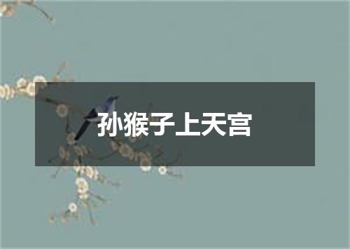 孙猴子上天宫