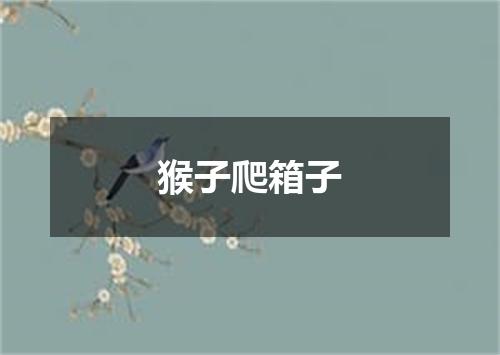 猴子爬箱子