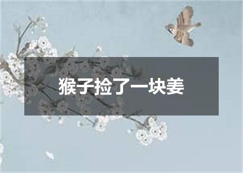 猴子捡了一块姜