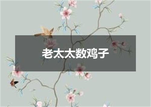 老太太数鸡子