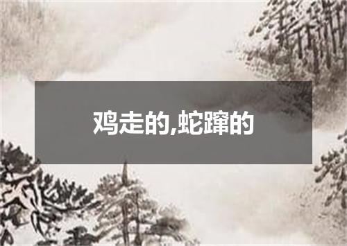 鸡走的,蛇蹿的