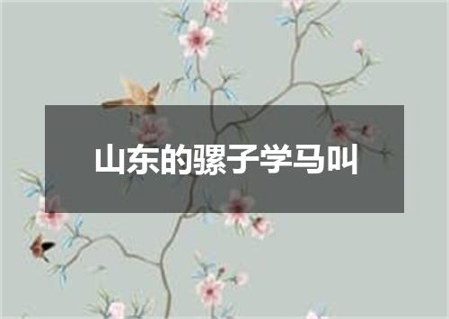 山东的骡子学马叫