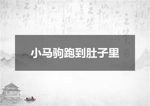 小马驹跑到肚子里