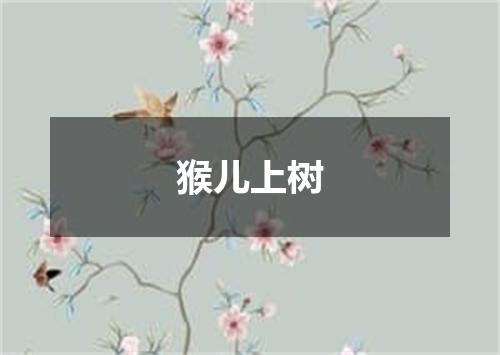 猴儿上树