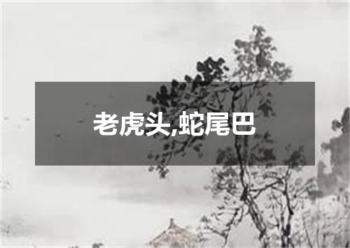 老虎头,蛇尾巴