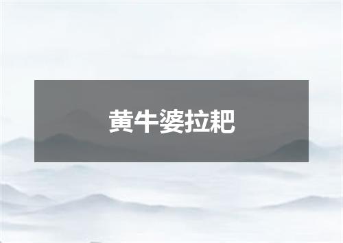 黄牛婆拉耙