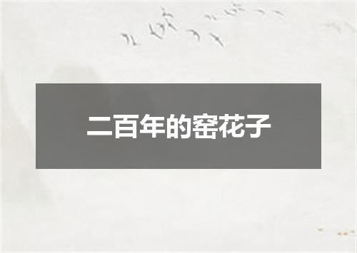二百年的窑花子