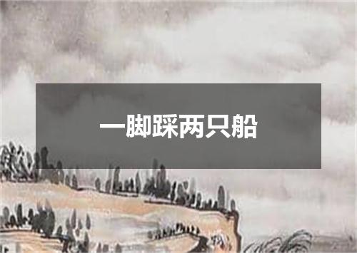 一脚踩两只船