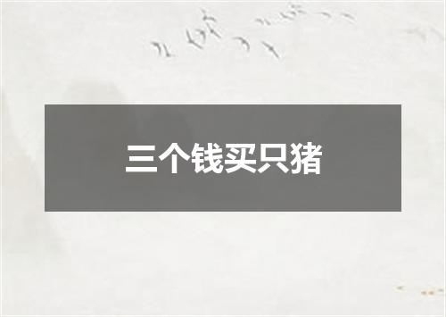 三个钱买只猪