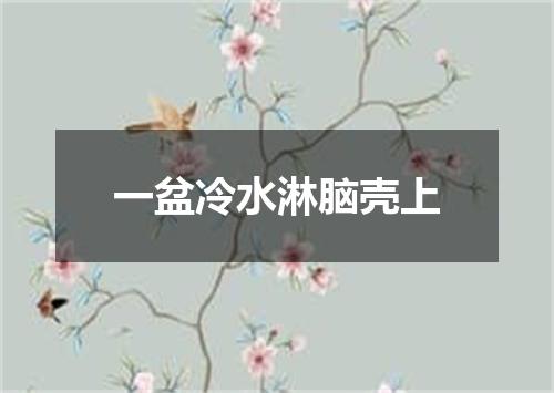 一盆冷水淋脑壳上